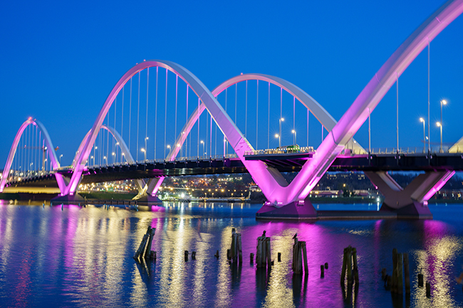Frederick Douglas Lighted Bridge